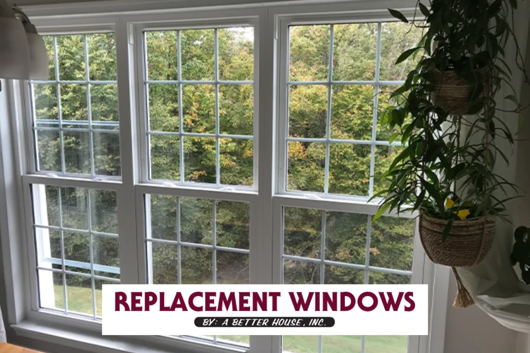 window replacement Fairfax (1)