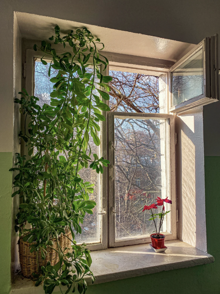 window installation College Park MD