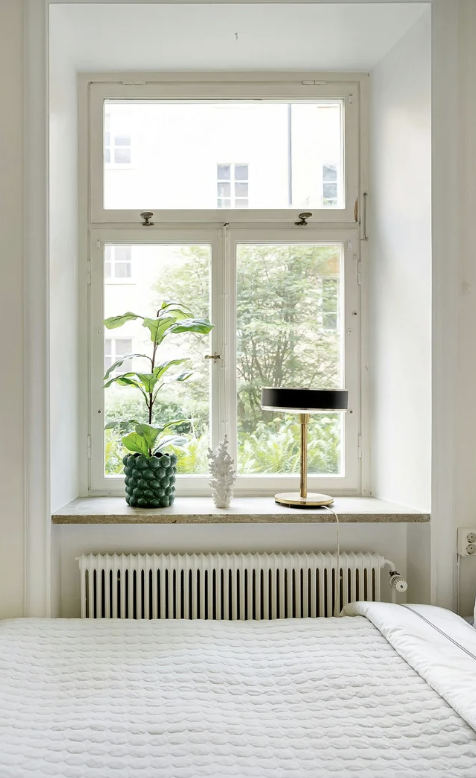 window installation Georgetown DC